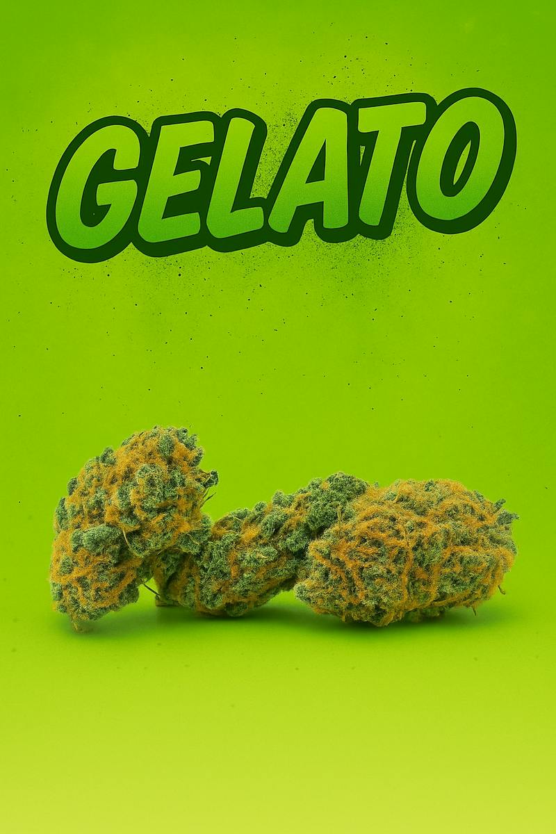 Tier 3 - Gelato -