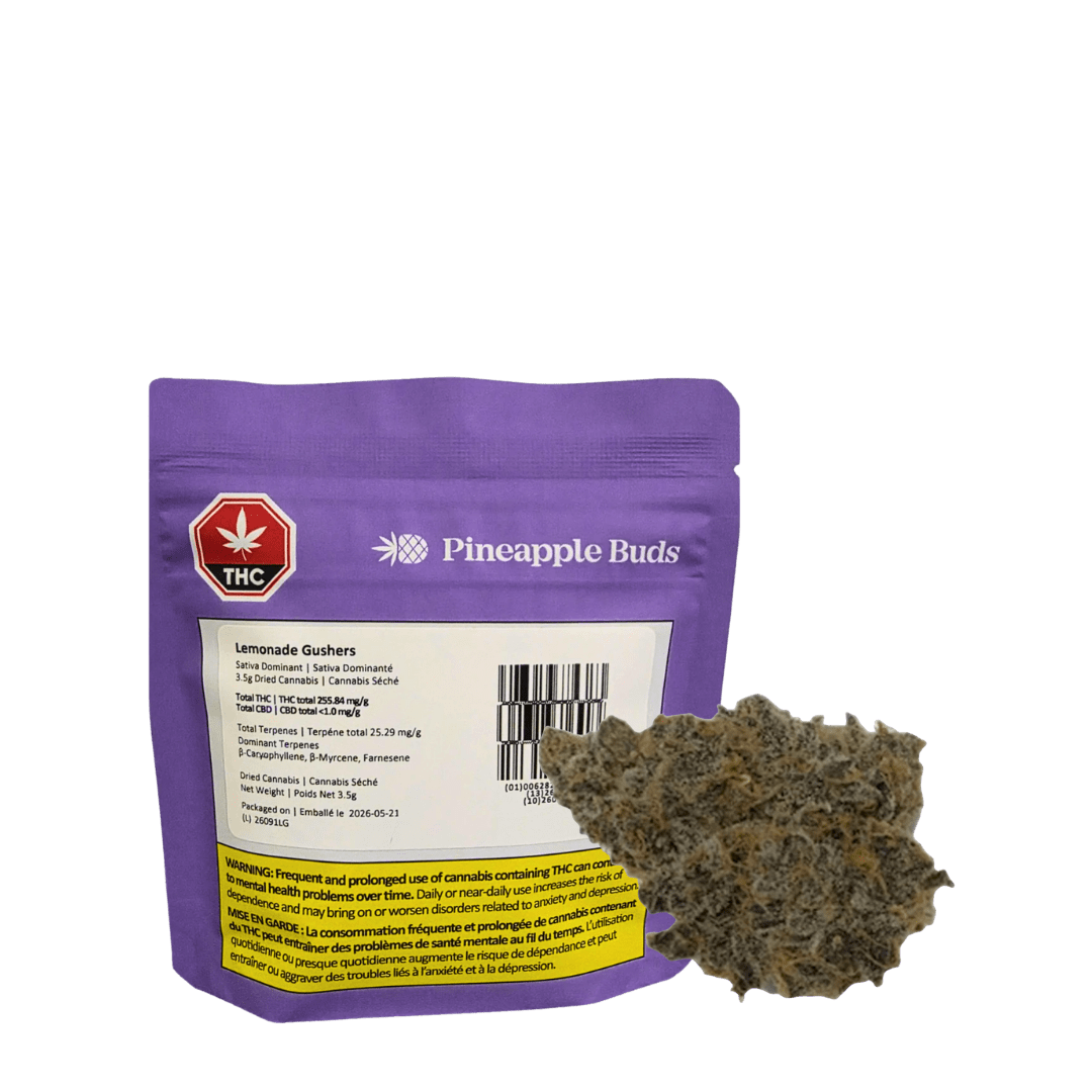 Pineapple Buds Lemonade Gushers - 3.5g