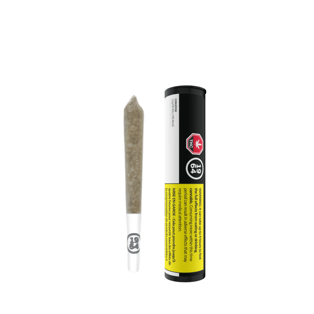 1964 Comatose Pre-Roll - 1 X 1g