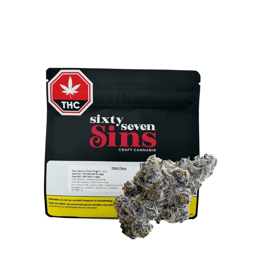 Sixty Seven Sins Mind Playa - 7g