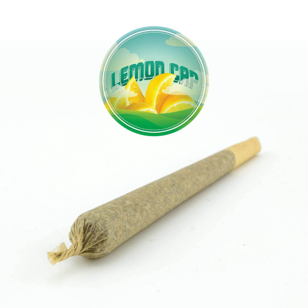 Lemon Cap
