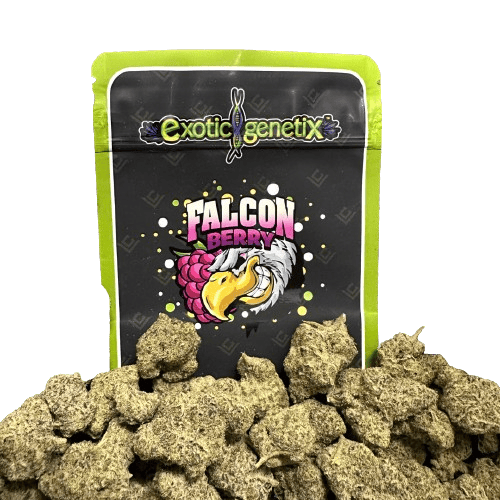 FALCON BERRY