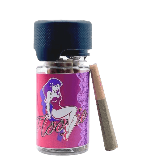 FLOOZIE | 10 X 0.5G PACK