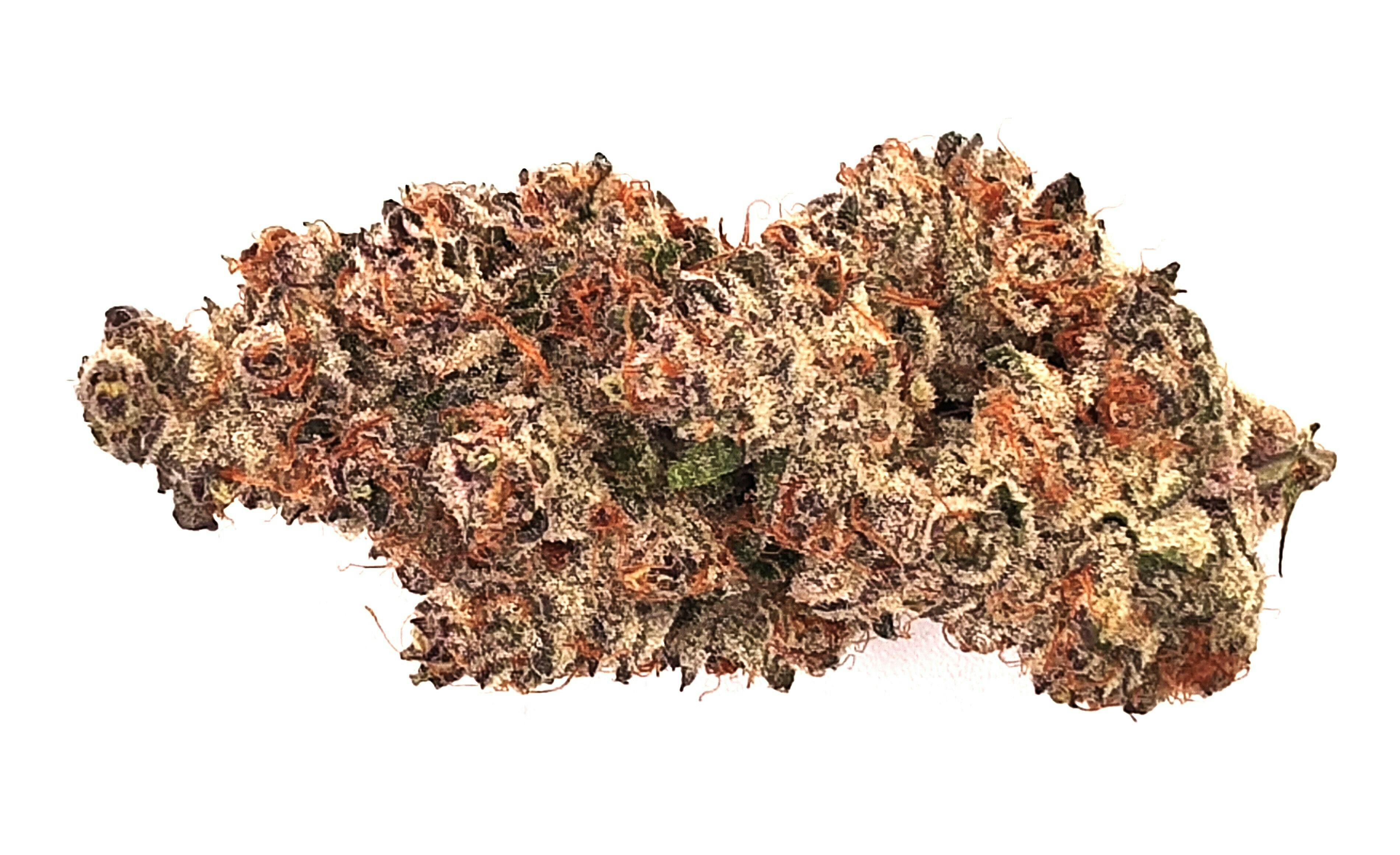 CHERRY PALOMA