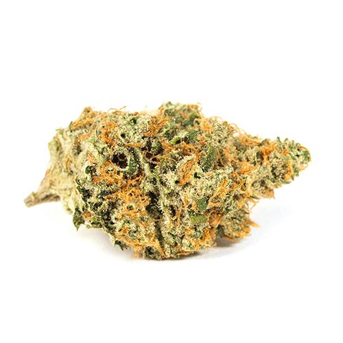 Flower - Jenny Kush - 3.5g