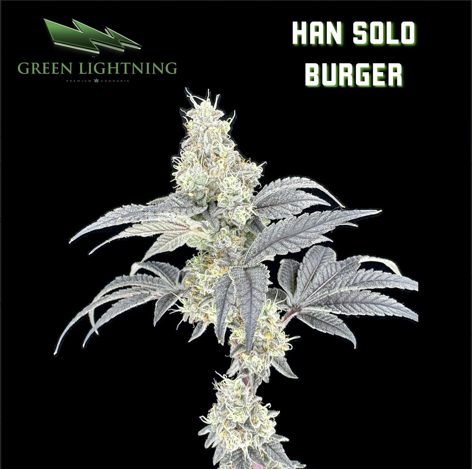 HAN SOLO BURGER | 7G | SMALLS cannabis product