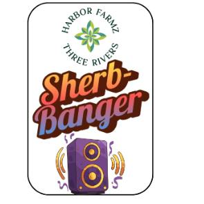 SHERB BANGER