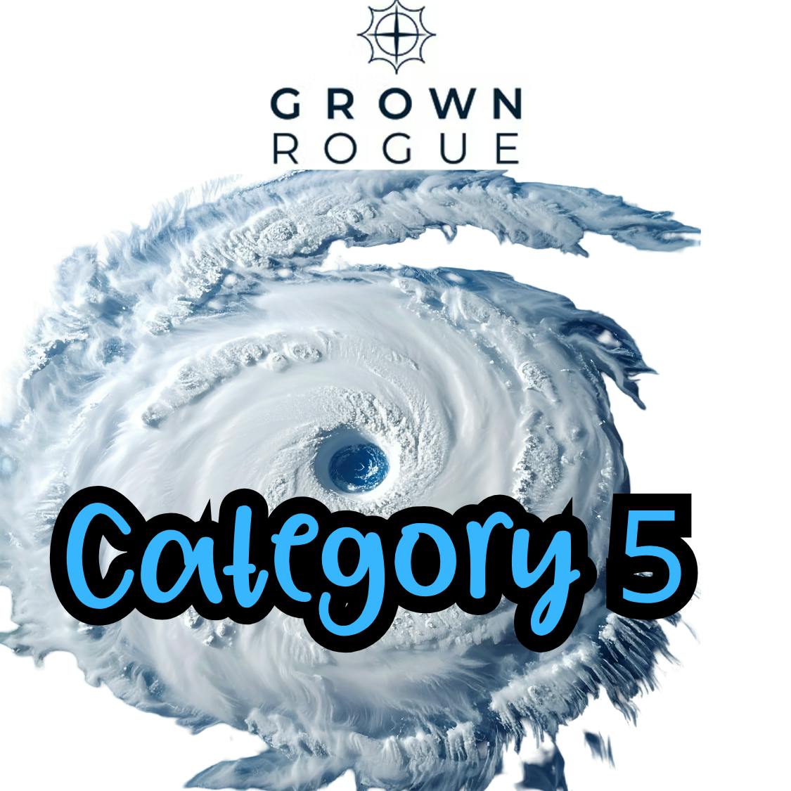 CATEGORY 5