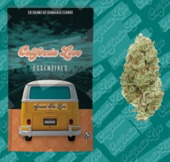 CHEM DIESEL: Essentials Bag