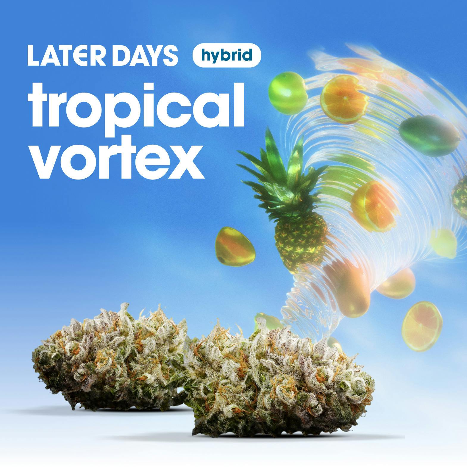 Tropical Vortex Smalls