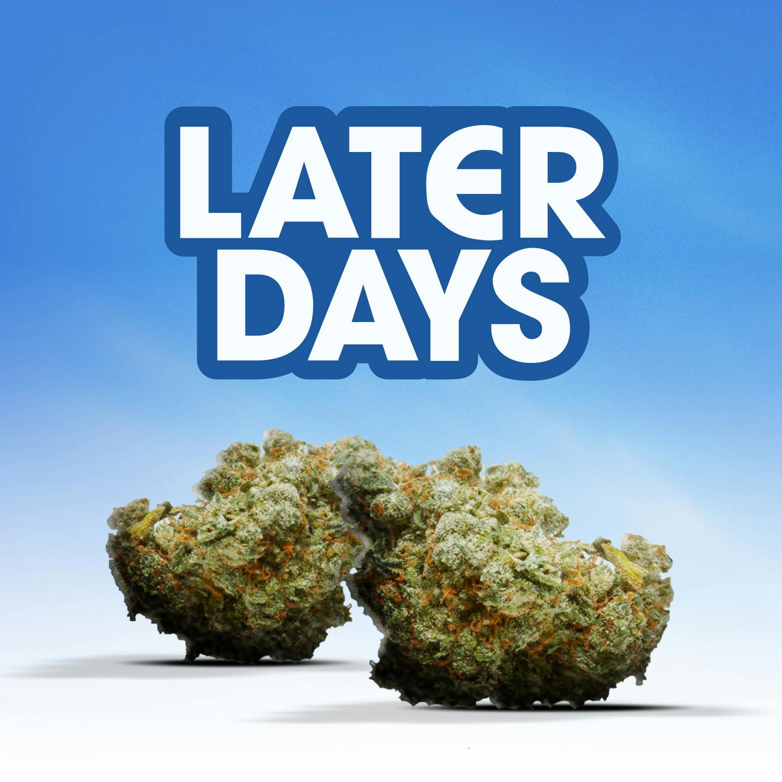 Lemon Cherry Kush Flower at AYR Cannabis Dispensary Gainesville