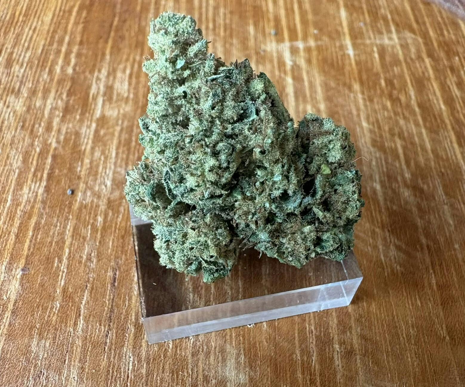 Alter Farms: Monkey Glue