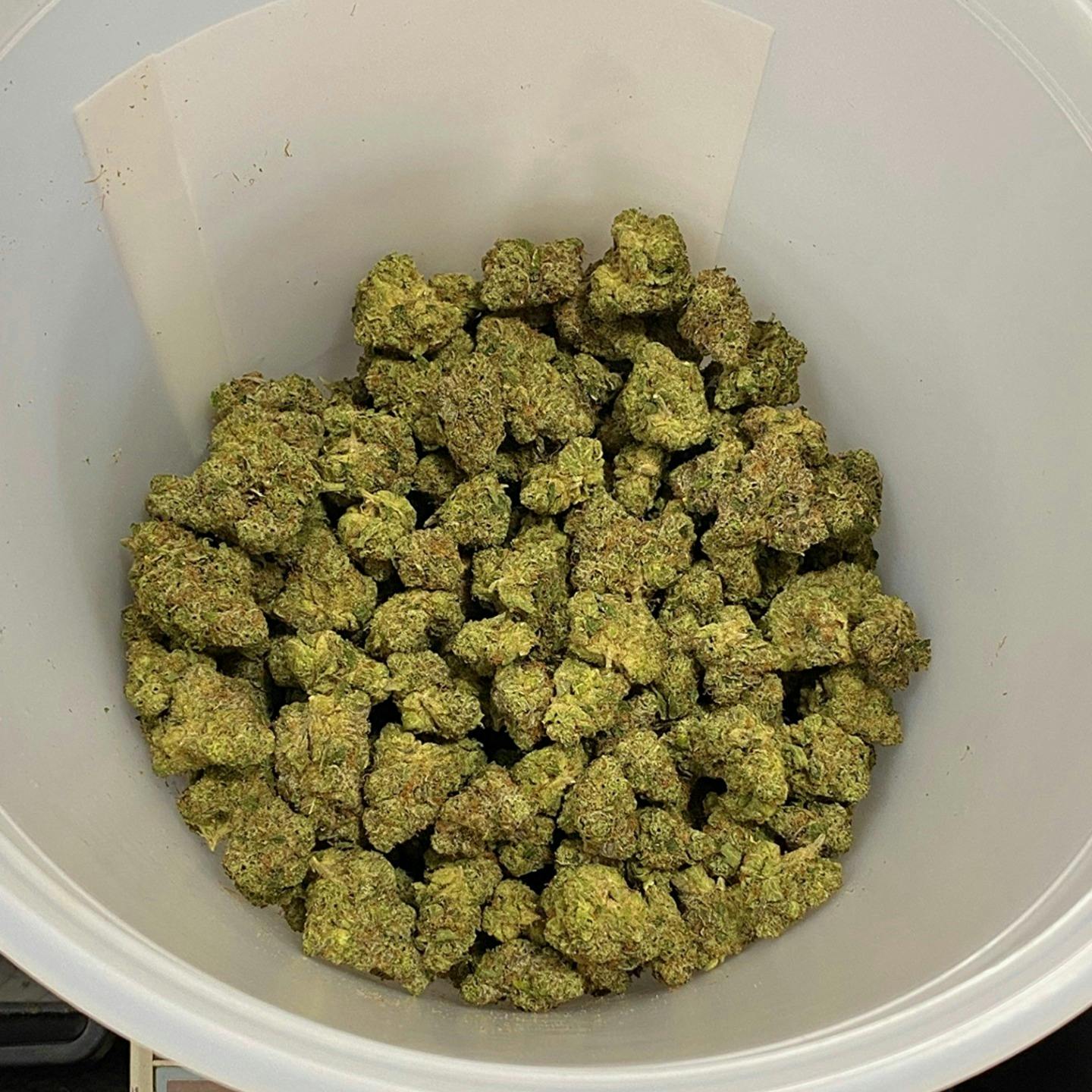 Makru Farms: Dunkz - Top Shelf $