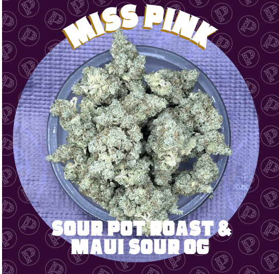 Miss Pink -: Flight Shelf