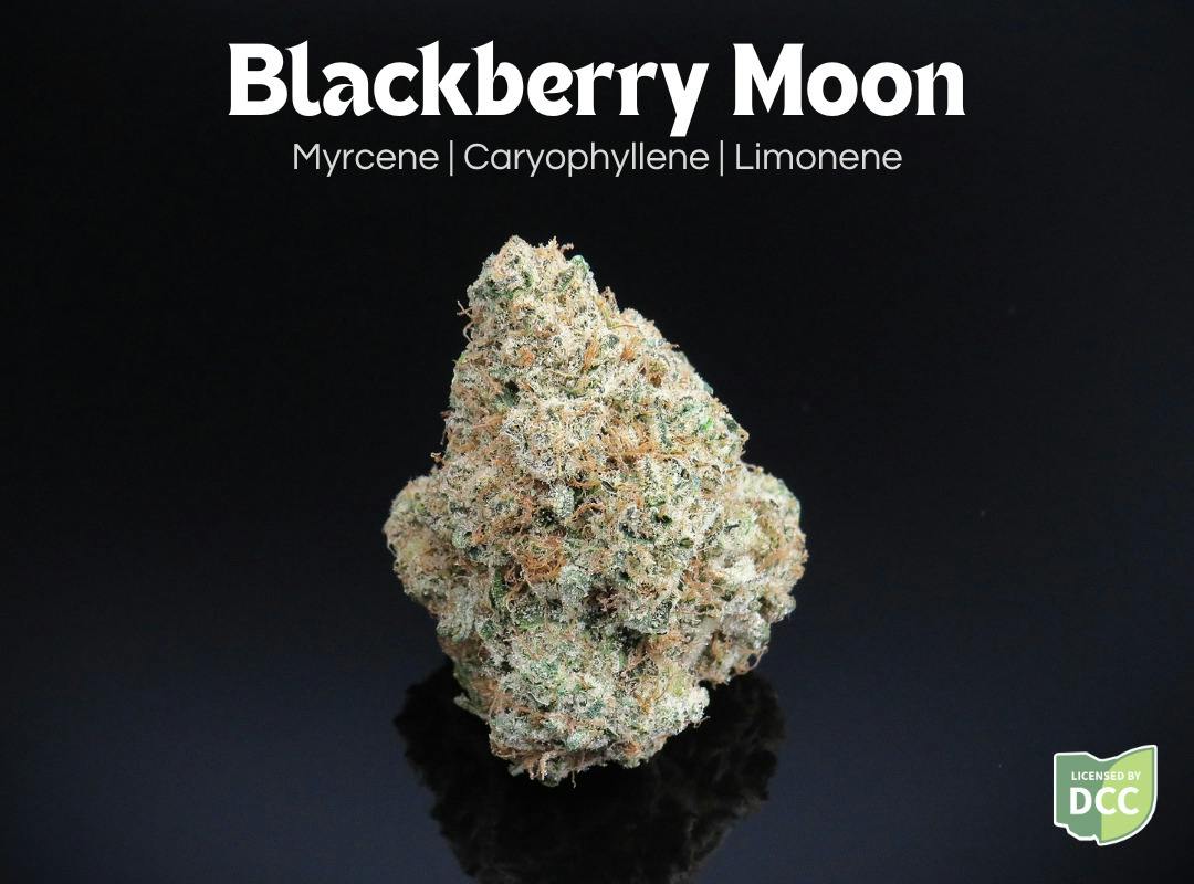 Blackberry Moon 2.83g (Indica) | Farkas Farms