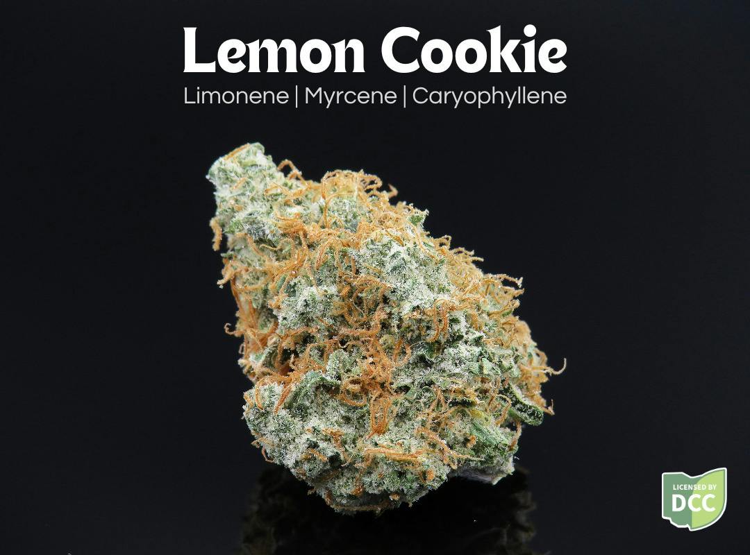 Lemon Cookie 2.83g (Hybrid) | Farkas Farms