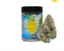 SD COOKIE JAR — Flosi Do