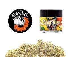 Turtle Pie — Tropez Noir