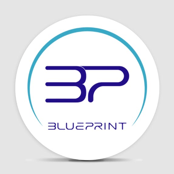 BLUEPRINT PERMANENT CRUNCH 3.5G FLOWER