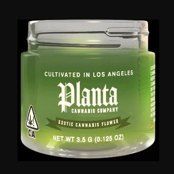 Planta: Lu Lu S Lemons