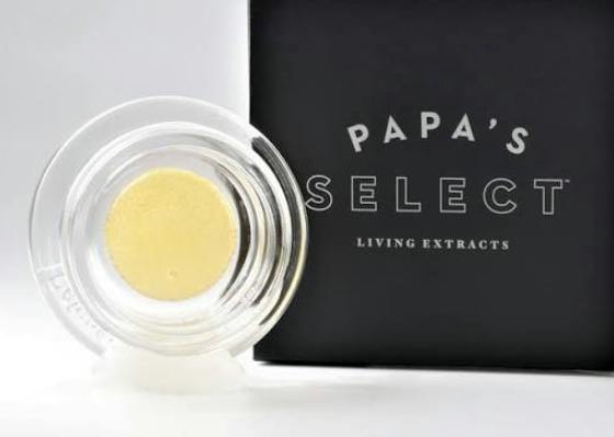 PAPA'S SELECT RIDDLEZ 1G LIVE ROSIN