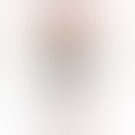 Mango Pineapple Day Time Bevvies Bites