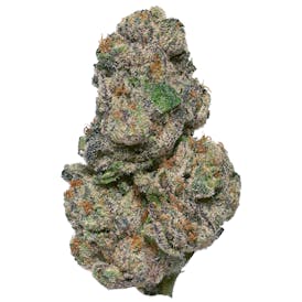 Deli Flower Gold - (EMSK) Elon's Musk