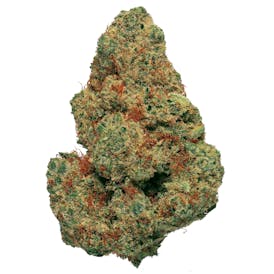 Deli Flower Gold - (SPF) Space Force