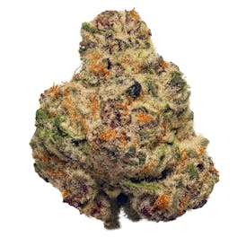 Deli Flower Small Buds - (PUNC) Purple Punch