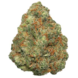 Deli Flower Gold - (JKHR) Jack Herer