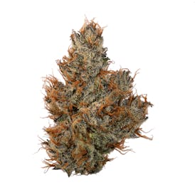 Deli Flower Gold - (OGB) Original Green Bud