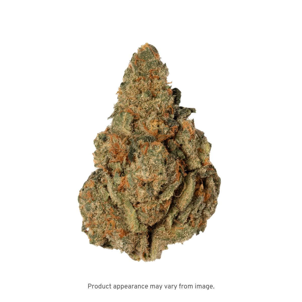 Med Deli Small Buds - (APSC) Apricot Scone