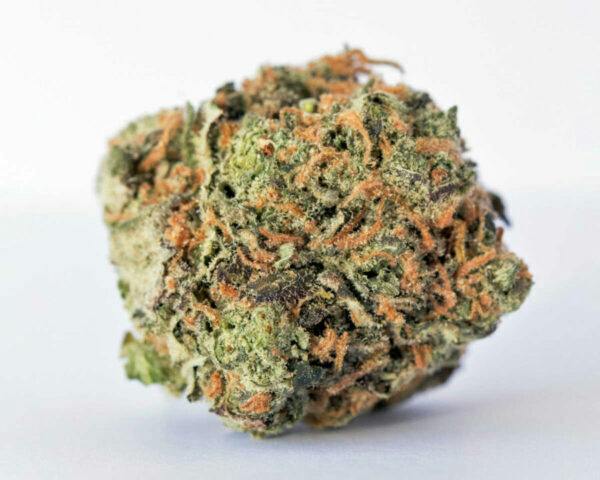 The Solid Mr. Big Stuff Flower