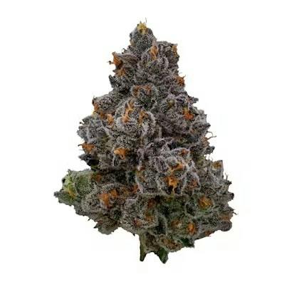 Good Day Farm Gashata #01 Flower