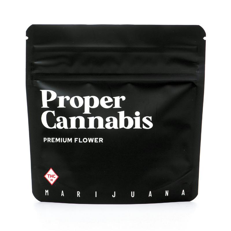 Proper Lobster Pot Popcorn Flower
