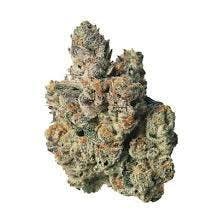 Proper Butterwolf Smalls Flower