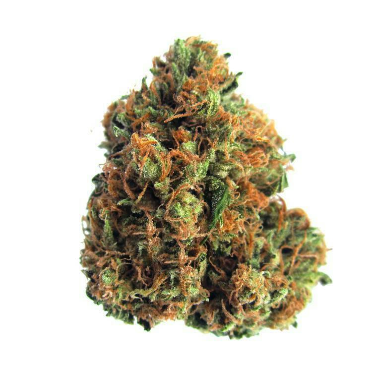 Proper Reserve Papaya x Gas Basket #3 Flower
