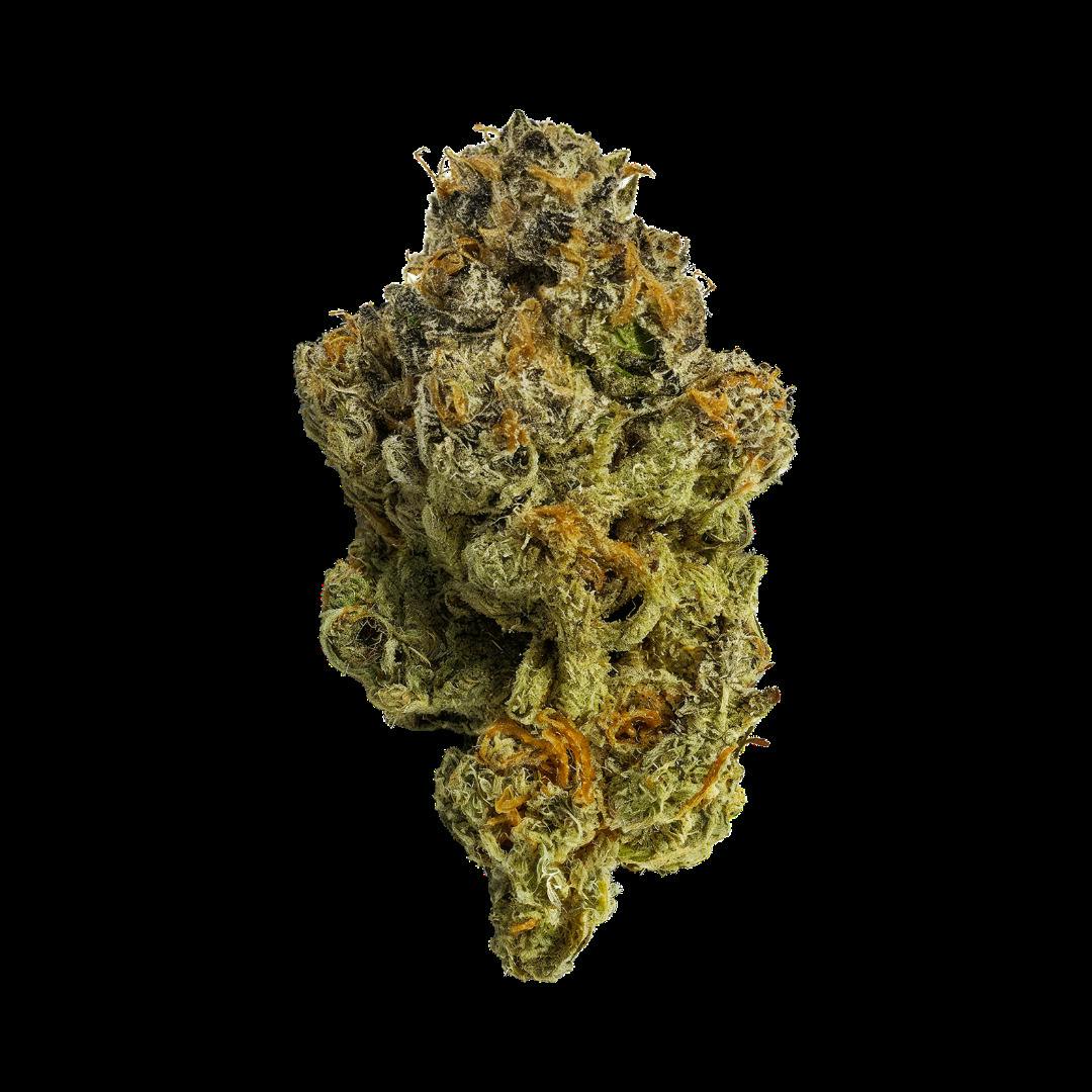 Amaze Purple Octane x Jealousy Preroll