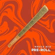 Vivid Trop Mintz Preroll