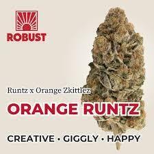 Robust Orange Runtz Flower