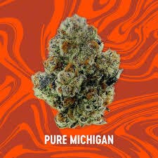 Vivid Pure Michigan Deli Flower at Stairway Cannabis Branson