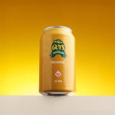 Guy's Orange Soda