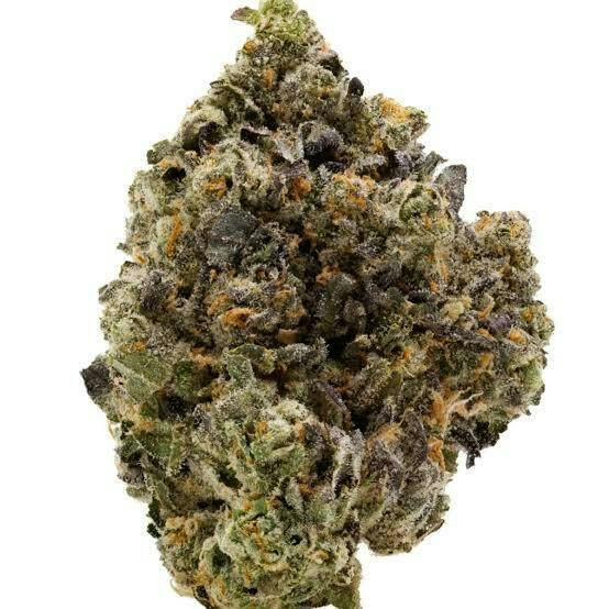 Daily Driver Stank House Flower