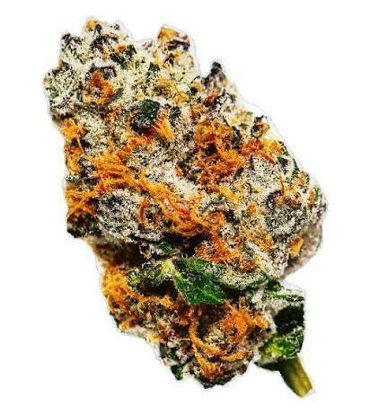 Daily Driver High Fructose Corn Syrup Flower