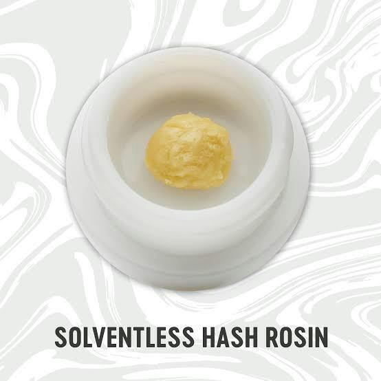 Vivid Fruit Gusherz Live Rosin