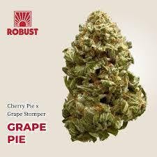 Robust Grape Pie Deli Flower 1 at Stairway Cannabis Branson