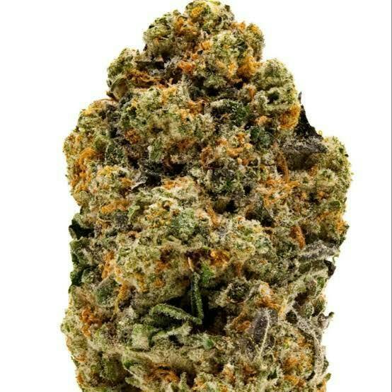 Sinse Honolulu Blue Deli Flower 1