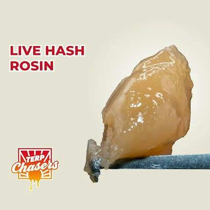 Robust Punch Bowl Live Rosin