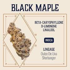Elevate Black Maple Deli Flower 1