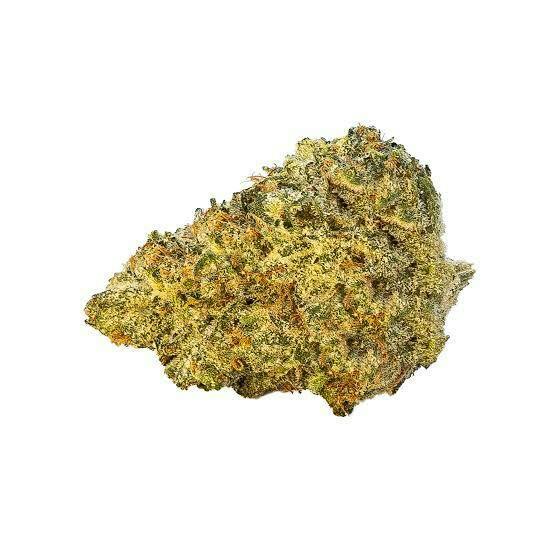 Elevate Grease Monkey Deli Flower 1